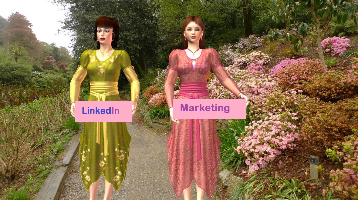 LinkedIn Marketing Videos
